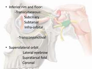 Subciliary Ridge Surgical Anatomy of Orbit | PPTX