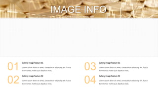 IMAGE INFOPUT YOUR PORTFOLIO IMAGES HERE
Gallery image feature 01
Lorem ipsum dolor sit amet, consectetur adipiscing elit. Fusce
diam tortor, mattis quis dapibus vitae,
Gallery image feature 02
Lorem ipsum dolor sit amet, consectetur adipiscing elit. Fusce
diam tortor, mattis quis dapibus vitae,
01
02
Gallery image feature 01
Lorem ipsum dolor sit amet, consectetur adipiscing elit. Fusce
diam tortor, mattis quis dapibus vitae,
Lorem ipsum dolor sit amet, consectetur adipiscing elit. Fusce
diam tortor, mattis quis dapibus vitae,
03
04
Gallery image feature 02
 