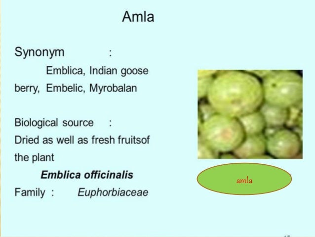pharmacognosy of some traditional drug chirata amla kantakari shata pharmacognosy
