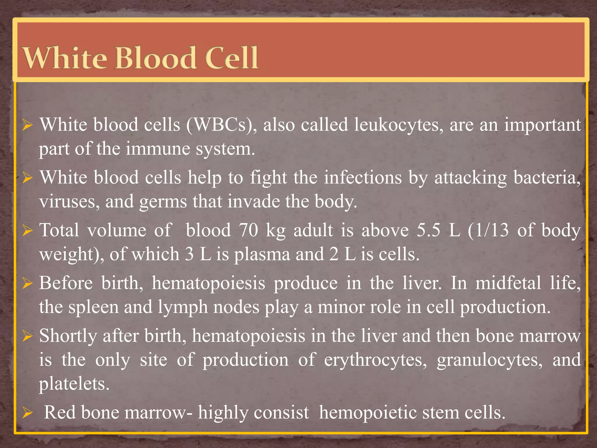 white blood cell | PPTX
