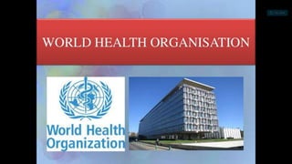 world health orrganization