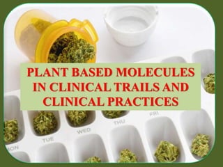 PLANT BASED MOLECULES
IN CLINICAL TRAILS AND
CLINICAL PRACTICES
 
