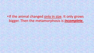 •If the animal changed only in size. It only grows
bigger. Then the metamorphosis is incomplete.
 