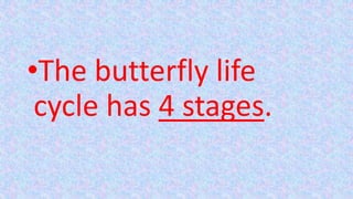 •The butterfly life
cycle has 4 stages.
 