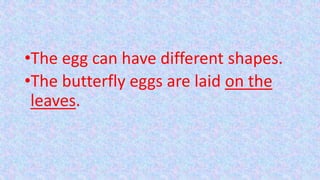 •The egg can have different shapes.
•The butterfly eggs are laid on the
leaves.
 