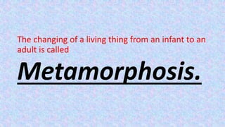 The changing of a living thing from an infant to an
adult is called
Metamorphosis.
 
