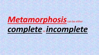 Metamorphosiscan be either
completeor incomplete.
 