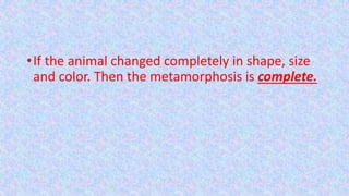 •If the animal changed completely in shape, size
and color. Then the metamorphosis is complete.
 
