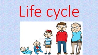 Life cycle
 