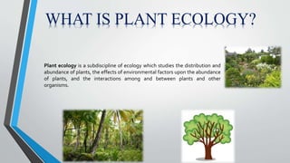 PLANT ECOLOGY | PPTX