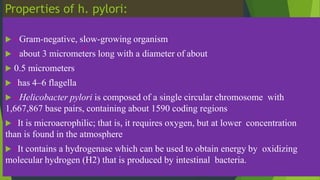 Properties of h. pylori:
 ¤ Gram-negative, slow-growing organism
 ¤ about 3 micrometers long with a diameter of about
 0.5 micrometers
 ¤has 4–6 flagella
 ¤ Helicobacter pylori is composed of a single circular chromosome with
1,667,867 base pairs, containing about 1590 coding regions
 ¤It is microaerophilic; that is, it requires oxygen, but at lower concentration
than is found in the atmosphere
 ¤It contains a hydrogenase which can be used to obtain energy by oxidizing
molecular hydrogen (H2) that is produced by intestinal bacteria.
¤
 