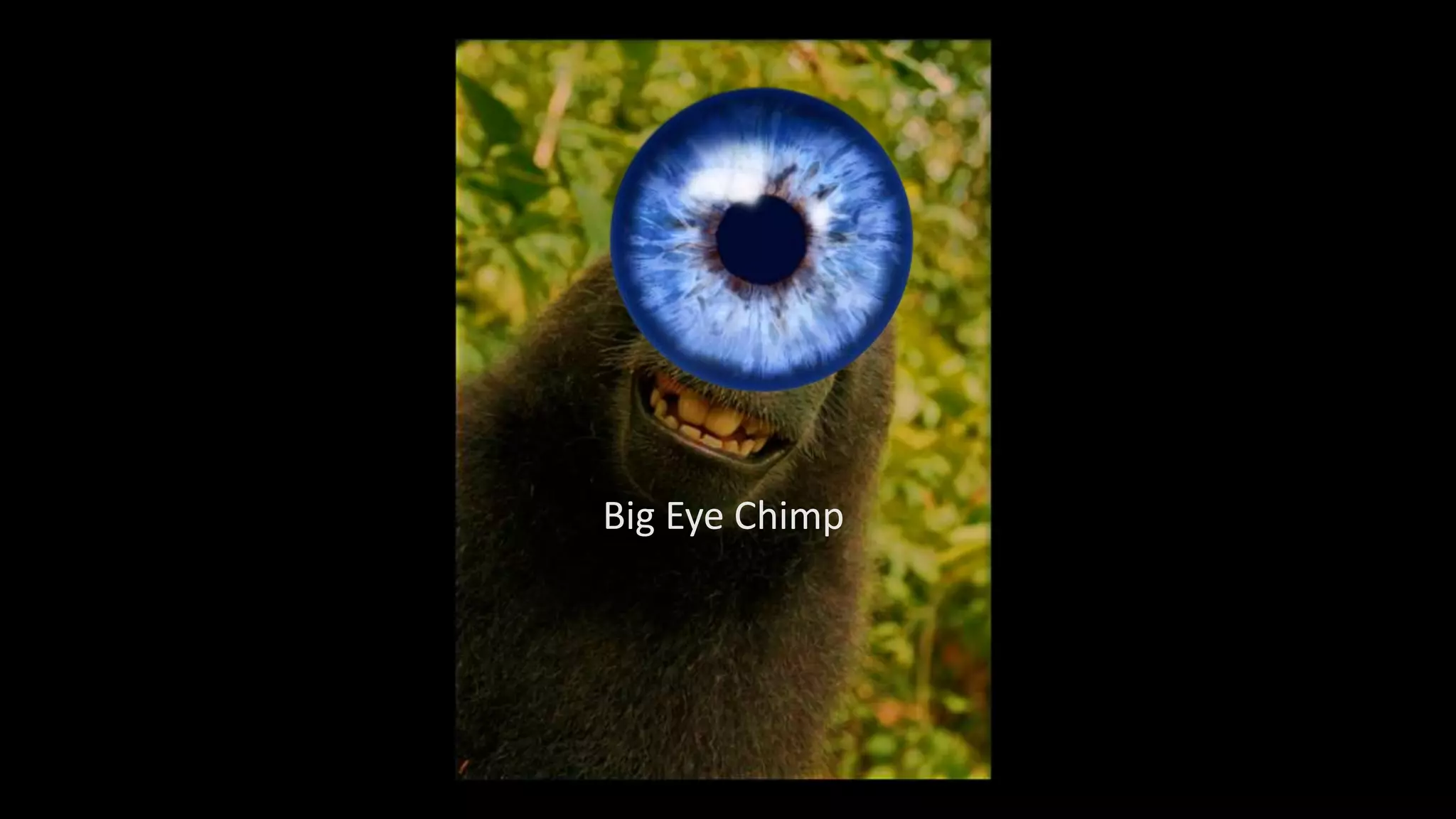 Presentation 1 | PPT