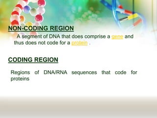 Presentation1 | PPT