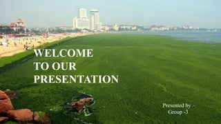 WELCOME
TO OUR
PRESENTATION
-Presented by –
Group -3
 
