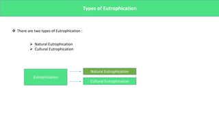Types of Eutrophication
 There are two types of Eutrophication :
 Natural Eutrophication
 Cultural Eutrophication
Eutrophication
Natural Eutrophication
Cultural Eutrophication
 