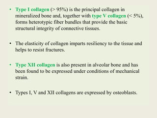 • Type I collagen (> 95%) is the principal collagen in
mineralized bone and, together with type V collagen (< 5%),
forms heterotypic fiber bundles that provide the basic
structural integrity of connective tissues.
• The elasticity of collagen imparts resiliency to the tissue and
helps to resist fractures.
• Type XII collagen is also present in alveolar bone and has
been found to be expressed under conditions of mechanical
strain.
• Types I, V and XII collagens are expressed by osteoblasts.
 