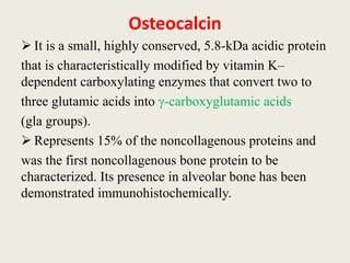 Osteocalcin
 It is a small, highly conserved, 5.8-kDa acidic protein
that is characteristically modified by vitamin K–
dependent carboxylating enzymes that convert two to
three glutamic acids into γ-carboxyglutamic acids
(gla groups).
 Represents 15% of the noncollagenous proteins and
was the first noncollagenous bone protein to be
characterized. Its presence in alveolar bone has been
demonstrated immunohistochemically.
 