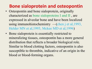 Bone sialoprotein and osteopontin
• Osteopontin and bone sialoprotein, originally
characterized as bone sialoproteins I and II , are
expressed in alveolar bone and have been localized
using immunohistochemistry —(chen j et al,1993,
Helder MN et al,1993, Mckee MD et al,1996)
• Bone sialoprotein is essentially restricted to
mineralizing tissues, osteopontin has a more general
distribution that reflects a broader biological role.
Similar to blood clotting factors, osteopontin is also
susceptible to thrombin, indicative of an origin in the
blood or blood-forming organs.
 