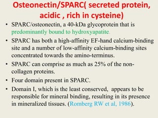Osteonectin/SPARC( secreted protein,
acidic , rich in cysteine)
• SPARC/osteonectin, a 40-kDa glycoprotein that is
predominantly bound to hydroxyapatite.
• SPARC has both a high-affinity EF-hand calcium-binding
site and a number of low-affinity calcium-binding sites
concentrated towards the amino-terminus.
• SPARC can comprise as much as 25% of the non-
collagen proteins.
• Four domain present in SPARC.
• Domain I, which is the least conserved, appears to be
responsible for mineral binding, resulting in its presence
in mineralized tissues. (Romberg RW et al, 1986).
 