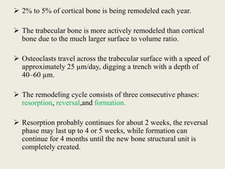  2% to 5% of cortical bone is being remodeled each year.
 The trabecular bone is more actively remodeled than cortical
bone due to the much larger surface to volume ratio.
 Osteoclasts travel across the trabecular surface with a speed of
approximately 25 µm/day, digging a trench with a depth of
40–60 µm.
 The remodeling cycle consists of three consecutive phases:
resorption, reversal,and formation.
 Resorption probably continues for about 2 weeks, the reversal
phase may last up to 4 or 5 weeks, while formation can
continue for 4 months until the new bone structural unit is
completely created.
 