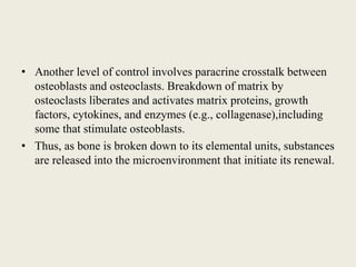 • Another level of control involves paracrine crosstalk between
osteoblasts and osteoclasts. Breakdown of matrix by
osteoclasts liberates and activates matrix proteins, growth
factors, cytokines, and enzymes (e.g., collagenase),including
some that stimulate osteoblasts.
• Thus, as bone is broken down to its elemental units, substances
are released into the microenvironment that initiate its renewal.
 