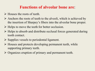 Functions of alveolar bone are:
 Houses the roots of teeth.
 Anchors the roots of teeth to the alveoli, which is achieved by
the insertion of Sharpey’s fibers into the alveolar bone proper.
 Helps to move the teeth for better occlusion.
 Helps to absorb and distribute occlusal forces generated during
tooth contact.
 Supplies vessels to periodontal ligament.
 Houses and protects developing permanent teeth, while
supporting primary teeth.
 Organizes eruption of primary and permanent teeth.
 