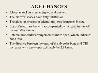 AGE CHANGES
• Alveolar sockets appear jagged and uneven.
• The marrow spaces have fatty infiltration.
• The alveolar process in edentulous jaws decreases in size.
• Loss of maxillary bone is accompanied by increase in size of
the maxillary sinus.
• Internal trabecular arrangement is more open, which indicates
bone loss.
• The distance between the crest of the alveolar bone and CEJ
increases with age—approximately by 2.81 mm.
 
