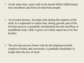 • At the same time, some cells in the dental follicle differentiate
into osteoblasts and form alveolar bone proper
• An alveolar process develops only during the eruption of the
teeth. It is important to realize that, during growth, part of the
alveolar process is gradually incorporated into the maxillary or
mandibular body while it grows at a fairly rapid rate at its free
borders
• The alveolar process forms with the development and the
eruption of teeth, and conversely, it gradually diminishes in
height after the loss of teeth.
 