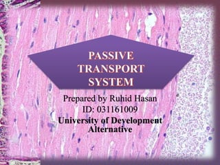 Prepared by Ruhid Hasan
ID: 031161009
University of Development
Alternative
 