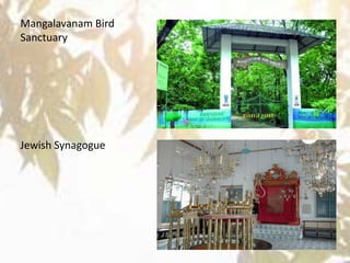 Mangalavanam Bird
Sanctuary
Jewish Synagogue
 