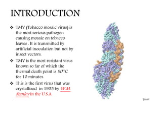 history of tobacco mosaic virus tobacco mosaic virus