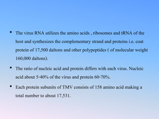 why do people use tobacco products Patterns & Methods of Tobacco Use Video