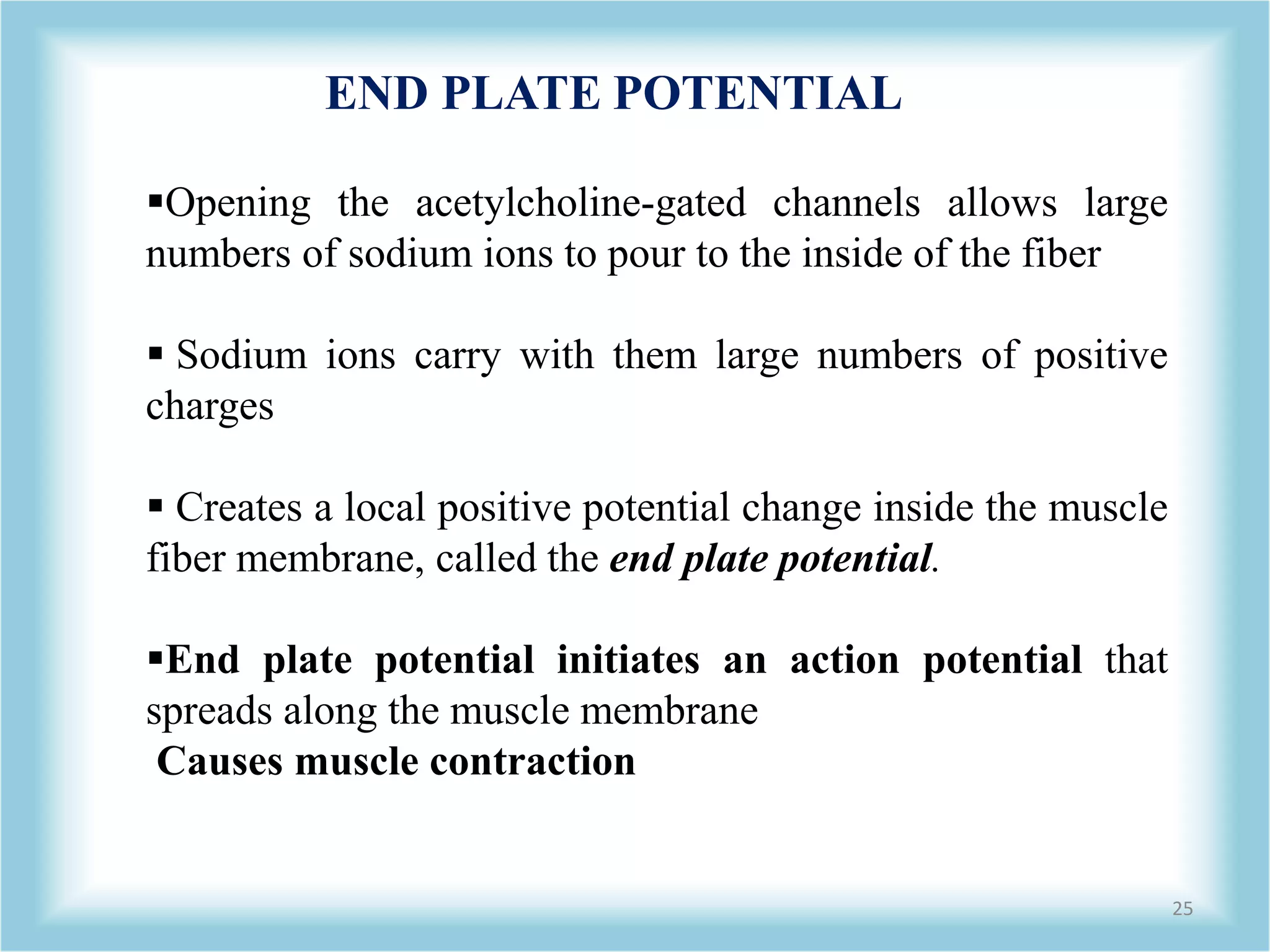 25
END PLATE POTENTIAL
Opening the acetylcholine-gated channels allows large
numbers of sodium ions to pour to the inside of the fiber
 Sodium ions carry with them large numbers of positive
charges
 Creates a local positive potential change inside the muscle
fiber membrane, called the end plate potential.
End plate potential initiates an action potential that
spreads along the muscle membrane
Causes muscle contraction
 