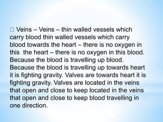 Veins – Veins – thin walled vessels which
carry blood thin walled vessels which carry
blood towards the heart – there is no oxygen in
this the heart – there is no oxygen in this blood.
Because the blood is travelling up blood.
Because the blood is travelling up towards heart
it is fighting gravity. Valves are towards heart it is
fighting gravity. Valves are located in the veins
that open and close to keep located in the veins
that open and close to keep blood travelling in
one direction.
 