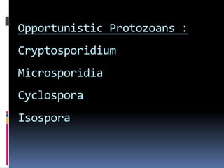 Opportunistic Protozoans :
Cryptosporidium
Microsporidia
Cyclospora
Isospora
 