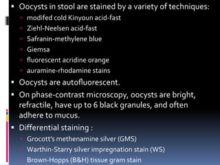  Oocysts in stool are stained by a variety of techniques:
 modifed cold Kinyoun acid-fast
 Ziehl-Neelsen acid-fast
 Safranin-methylene blue
 Giemsa
 ﬂuorescent acridine orange
 auramine-rhodamine stains
 Oocysts are autoﬂuorescent.
 On phase-contrast microscopy, oocysts are bright,
refractile, have up to 6 black granules, and often
adhere to mucus.
 Differential staining :
 Grocott’s methenamine silver (GMS)
 Warthin-Starry silver impregnation stain (WS)
 Brown-Hopps (B&H) tissue gram stain
 