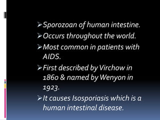 Sporozoan of human intestine.
Occurs throughout the world.
Most common in patients with
AIDS.
First described byVirchow in
1860 & named byWenyon in
1923.
It causes Isosporiasis which is a
human intestinal disease.
 