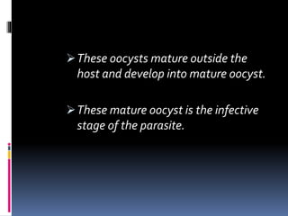 These oocysts mature outside the
host and develop into mature oocyst.
These mature oocyst is the infective
stage of the parasite.
 