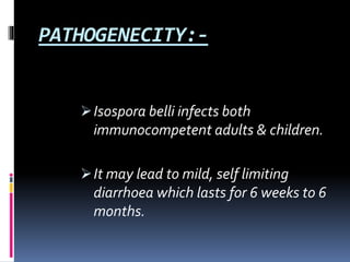 PATHOGENECITY:-
Isospora belli infects both
immunocompetent adults & children.
It may lead to mild, self limiting
diarrhoea which lasts for 6 weeks to 6
months.
 