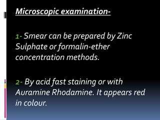 Microscopic examination-
1- Smear can be prepared by Zinc
Sulphate or formalin-ether
concentration methods.
2- By acid fast staining or with
Auramine Rhodamine. It appears red
in colour.
 