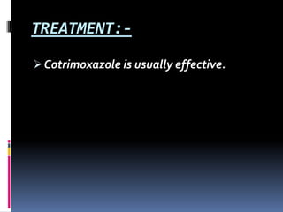 TREATMENT:-
Cotrimoxazole is usually effective.
 