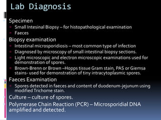 Lab Diagnosis
 Specimen
 Small Intesinal Biopsy – for histopathological examination
 Faeces
 Biopsy examination
 Intestinal microsporidiosis – most common type of infection
 Diagnosed by microscopy of small intestinal biopsy sections.
 Light microscopic and electron microscopic examinations used for
demonstration of spores.
 Brown-Brenn or Brown –Hopps tissue Gram stain, PAS or Giemsa
stains- used for demonstration of tiny intracytoplasmic spores.
 Faeces Examination
 Spores detected in faeces and content of duodenum-jejunum using
modifiedTrichome stain.
 Culture – culture of spores.
 Polymerase Chain Reaction (PCR) – Microsporidial DNA
amplified and detected.
 