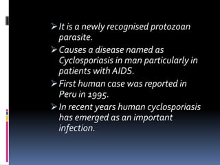 It is a newly recognised protozoan
parasite.
Causes a disease named as
Cyclosporiasis in man particularly in
patients with AIDS.
First human case was reported in
Peru in 1995.
In recent years human cyclosporiasis
has emerged as an important
infection.
 