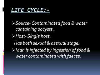 LIFE CYCLE:-
Source- Contaminated food & water
containing oocysts.
Host- Single host.
Has both sexual & asexual stage.
Man is infected by ingestion of food &
water contaminated with faeces.
 