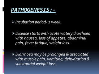PATHOGENESIS:-
Incubation period- 1 week.
Disease starts with acute watery diarrhoea
with nausea, loss of appetite, abdominal
pain, fever fatigue, weight loss.
Diarrhoea may be prolonged & associated
with muscle pain, vomiting, dehydration &
substantial weight loss.
 