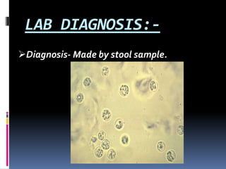 LAB DIAGNOSIS:-
Diagnosis- Made by stool sample.
 