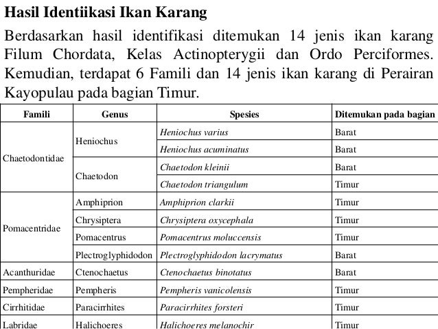 Jenis Ikan Karang
