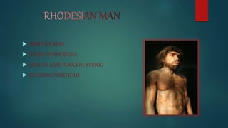 Rhodesian Man Found In Evolution | PPTX