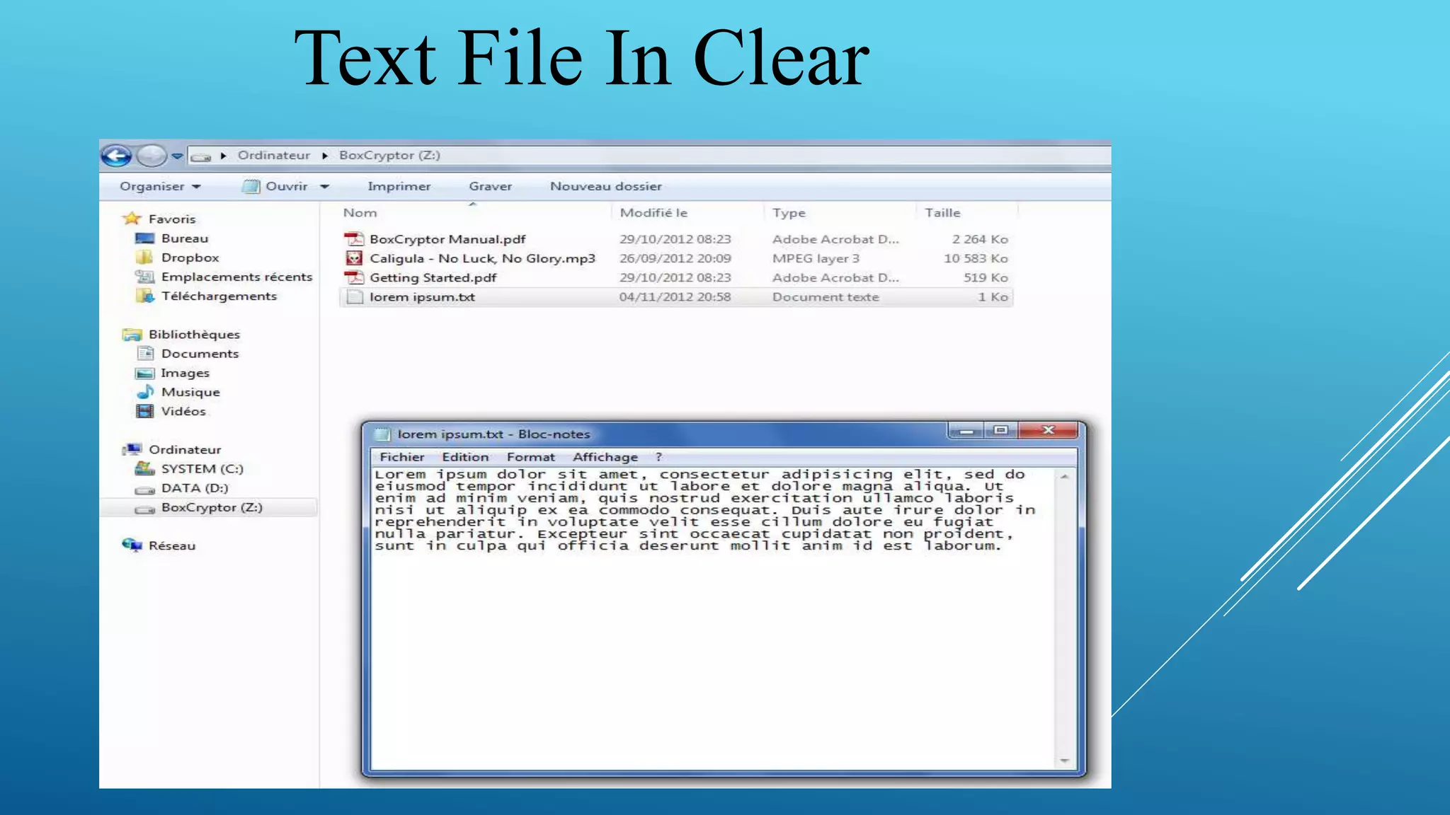 Text File In Clear
 