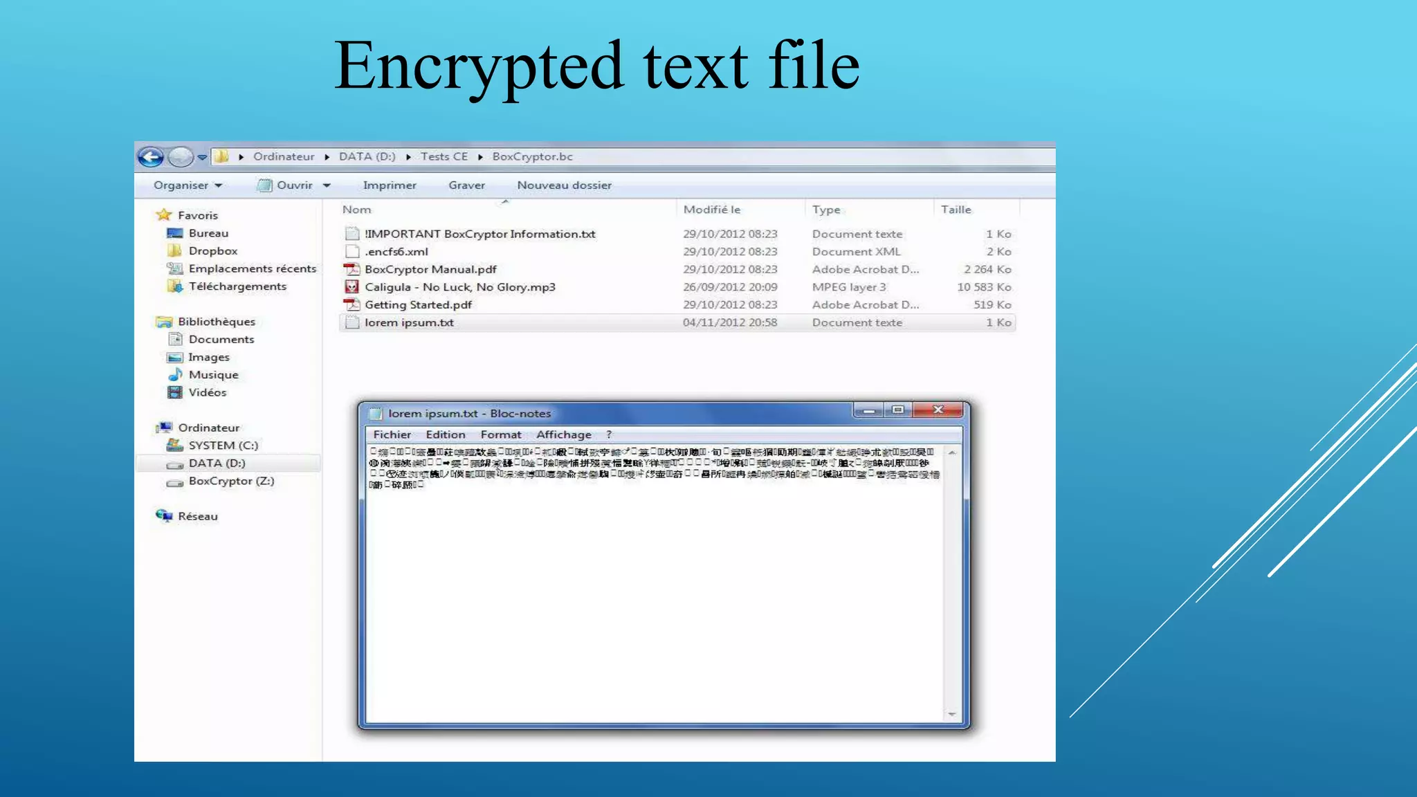 Encrypted text file
 